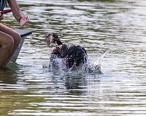 Rory Cox