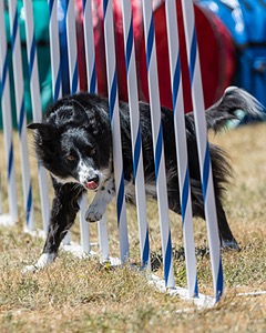 20160618-CCKC-1760.jpg
