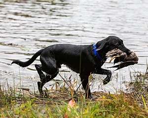 Peak Hill