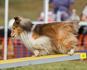 20180616-1833.jpg