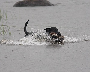 20080531-HRW-1164.jpg