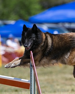 20150613-CCKC-0269.jpg