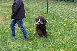20190512-BD-0176.jpg