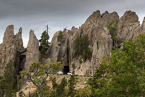 20200619-2581.jpg