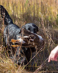 20191005-WCL-0051.jpg