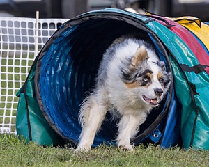20230916-PVKC-1720.jpg