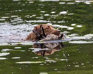 20170603-SEAW-0048.jpg