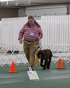 20190514-RA-0307.jpg