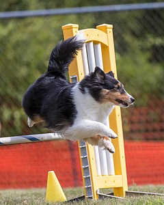 20200819-1246.jpg