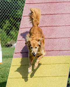 20200819-0823.jpg
