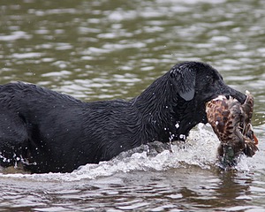 20080531-HRW-1006.jpg