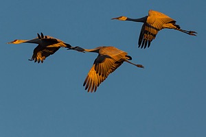 20151205-0801.jpg