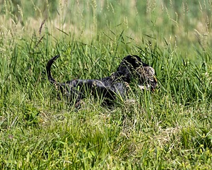 20210606-FINW-0378.jpg