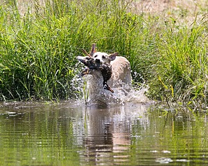 20130714-MHB2-0018.jpg