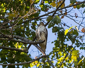20160925-C-0048.jpg