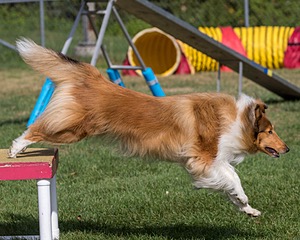 20200819-0635.jpg