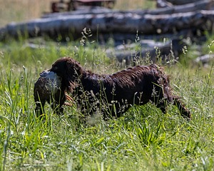 20210606-SEAL-0845.jpg
