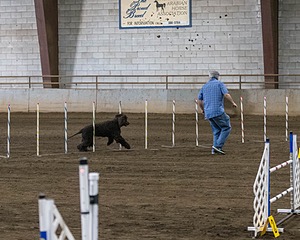 20190513-AG-0117.jpg