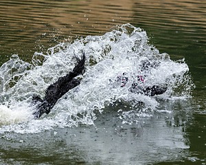 Rio Abruzzzese