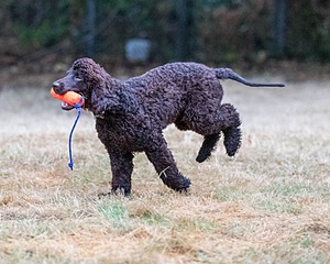 20210827-BD-0106.jpg