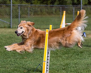 20200819-0556.jpg