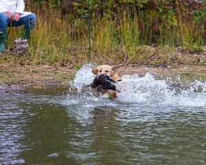 20161008-WCXW-0045.jpg