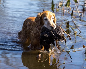 Ruby Hyde