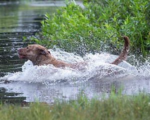 20130713-MHB2-0142.jpg