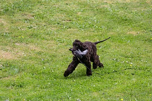 20190512-BD-0048.jpg