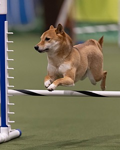 20260221-0054.jpg