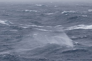20260324-0011.jpg