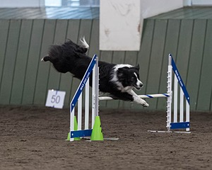 Breeze Schunk