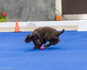 20240522-FT-0201.jpg