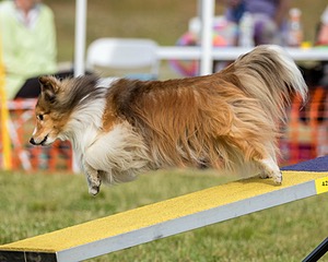 20180616-1834.jpg