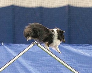 20150321-LEAP-1661.jpg