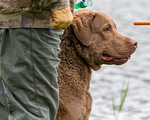 Hunter Law