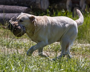 20210606-SEAL-1488.jpg