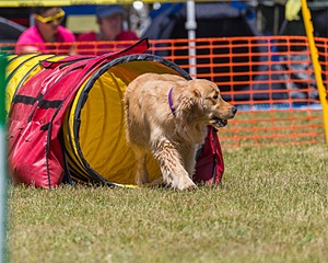 20190615-CCKC-1060.jpg