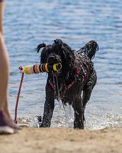 Penny Toby-Ann