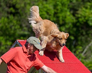 20190615-CCKC-0148.jpg