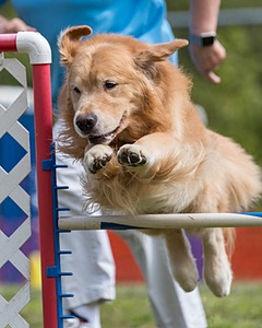 20200819-1336.jpg