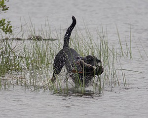 20080531-HRW-1048.jpg