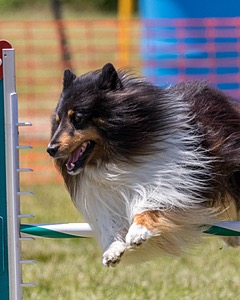 20180616-1245.jpg