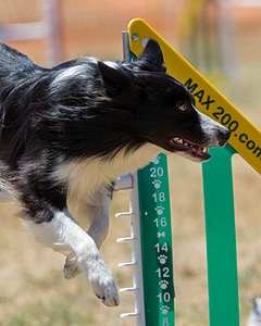 20160618-CCKC-1515.jpg