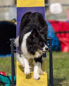 20220918-PVKC-0835.jpg
