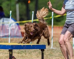 20160619-CCKC-1325.jpg
