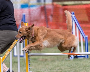 20200819-2350.jpg