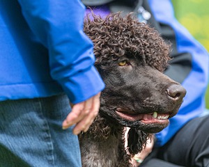 20190512-BD-0075.jpg