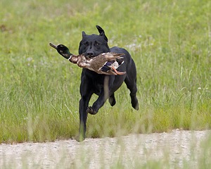 20080531-HRL-0282.jpg