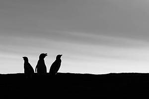 20191213-0314.jpg